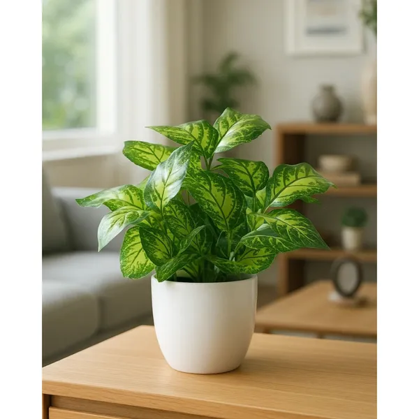 White_Slanted_Rim_Ceramic_Indoor_Planter_Pot