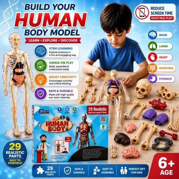 Multicolour_Plastic_Human_Body_Anatomy_Educational_Toy_Kit_For_Kids