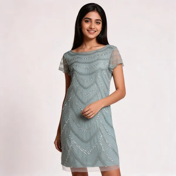 Sage_Net_Sequin_Embellished_Straight_Short_Dress_For_Women