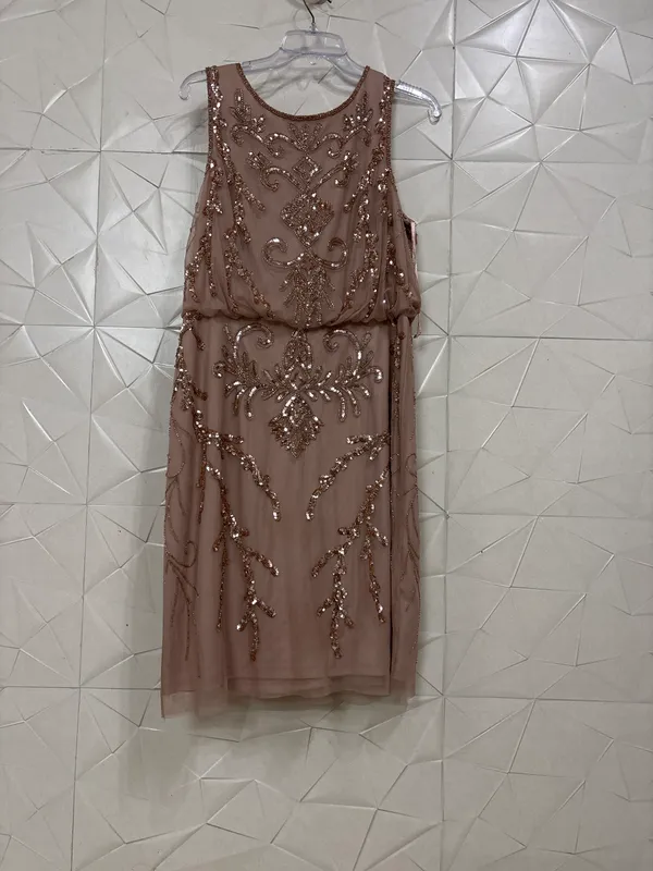 Mauve_Net_Embellished_Shift_Dress_for_Women