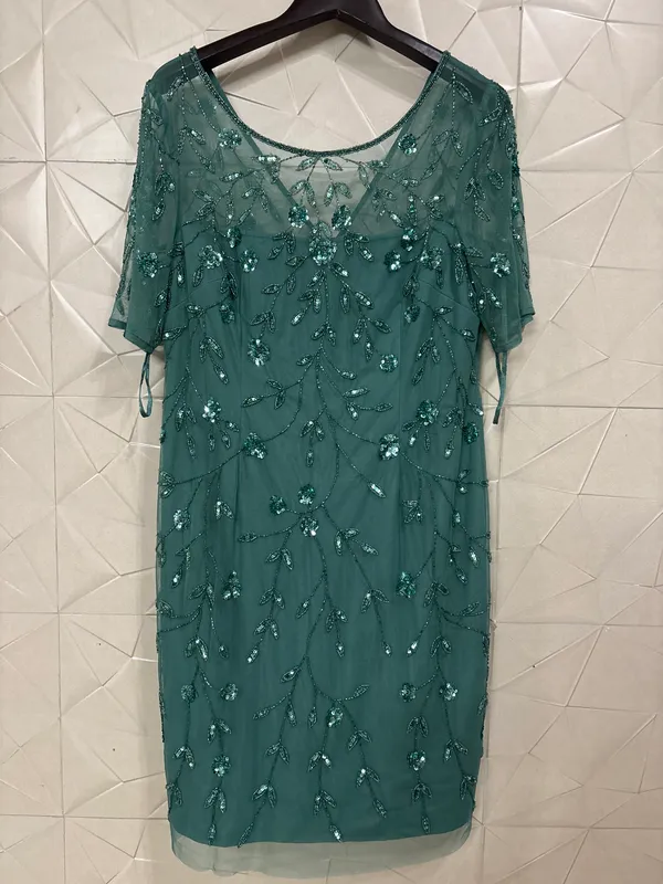 Teal_Net_Straight_Fit_Dress_for_Women