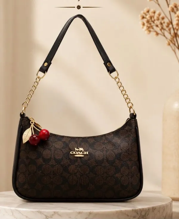 Coach_Beige_Monogram_Hobo_Shoulder_Bag_for_Women