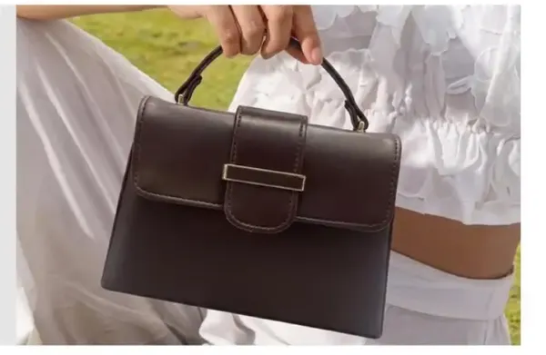 Brown_Structured_Handbag_for_Women