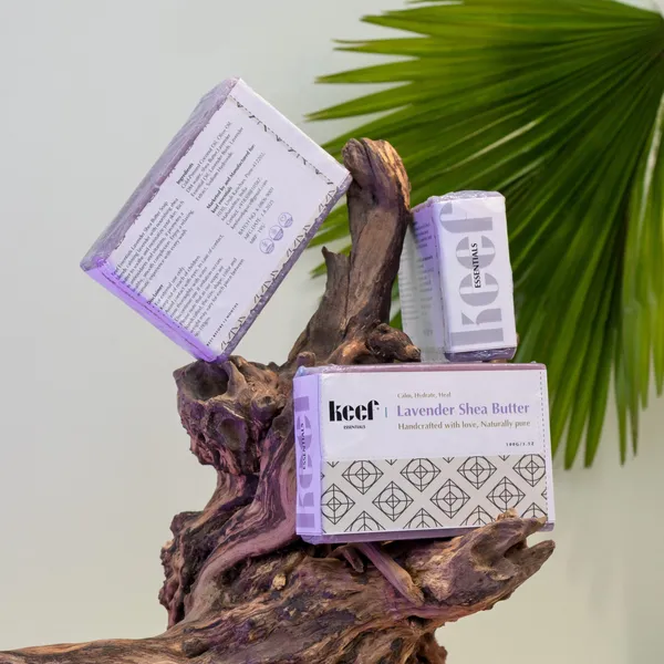 Lavender_Shea_Butter__Pack_Of_2