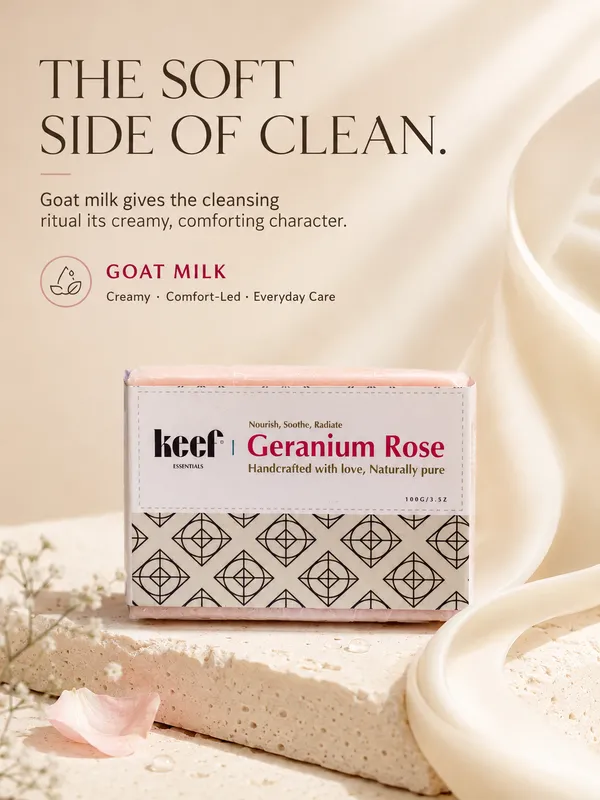 Geranium_Rose__Pack_Of_2