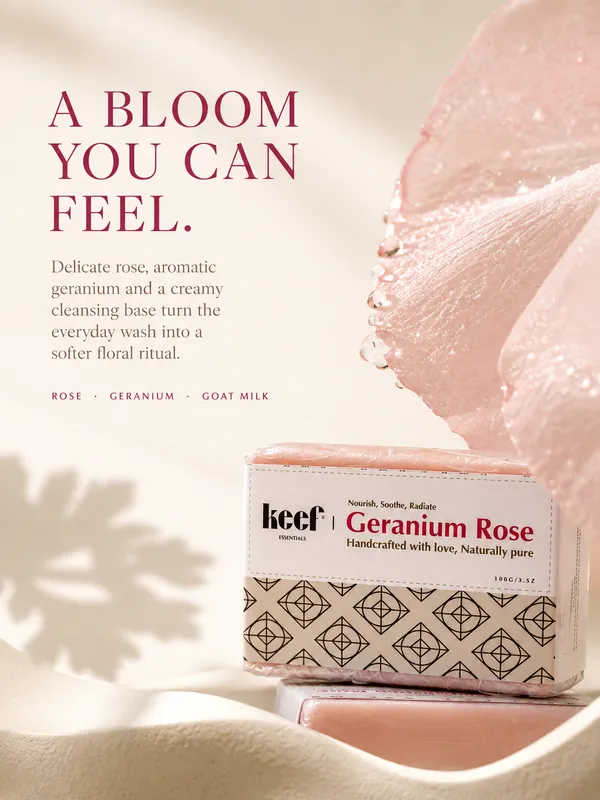 Geranium_Rose__Pack_Of_2