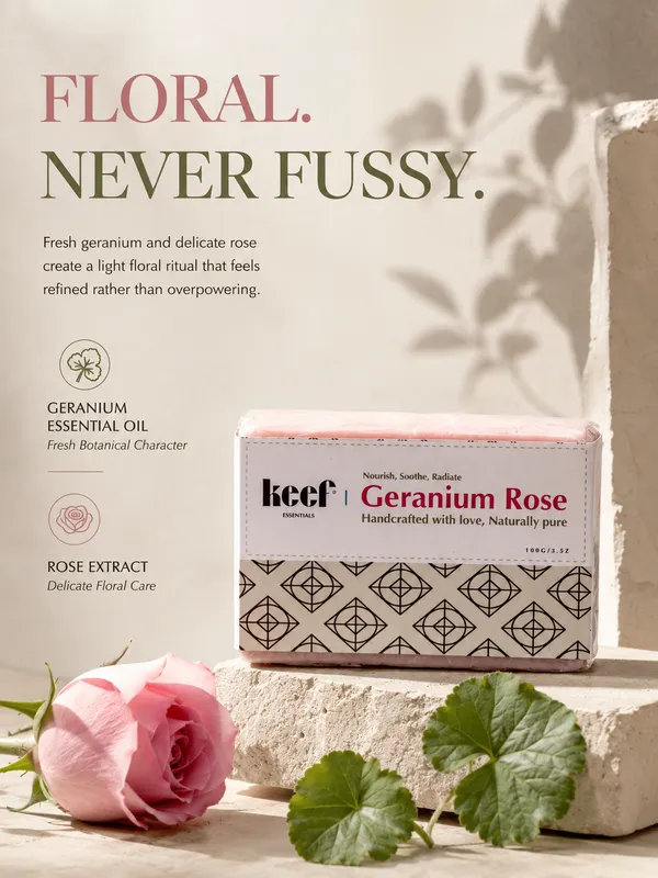 Geranium_Rose__Pack_Of_2