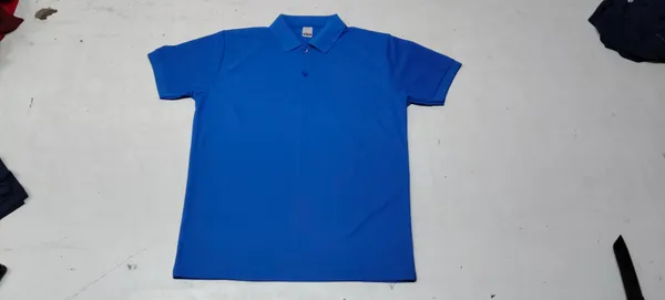 Blue_Regular_Fit_Polo_T-Shirt_for_Men