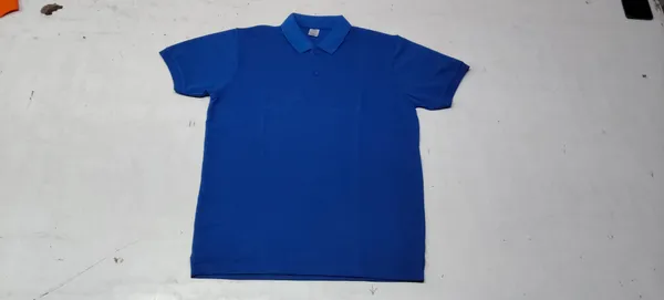 Blue_Polo_T-Shirt_for_Men