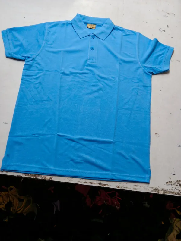 Blue_Regular_Fit_Polo_T_Shirt_for_Men