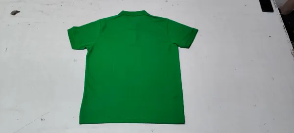 Green_Regular_Fit_Polo_T-Shirt_for_Men