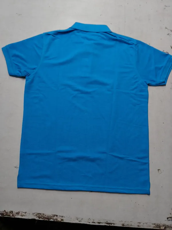 Blue_Regular_Fit_Polo_T_Shirt_for_Men
