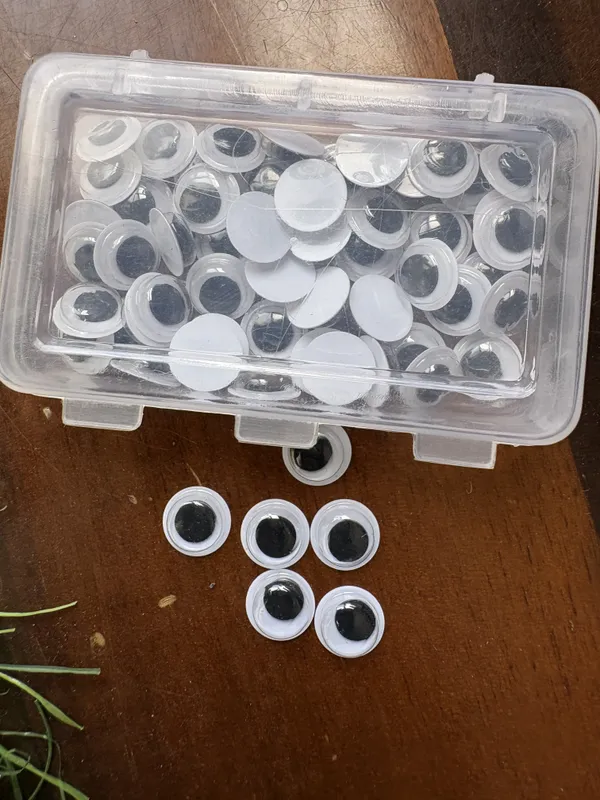 Googly_Eyes_-_50_Nos_Pack_Of_6