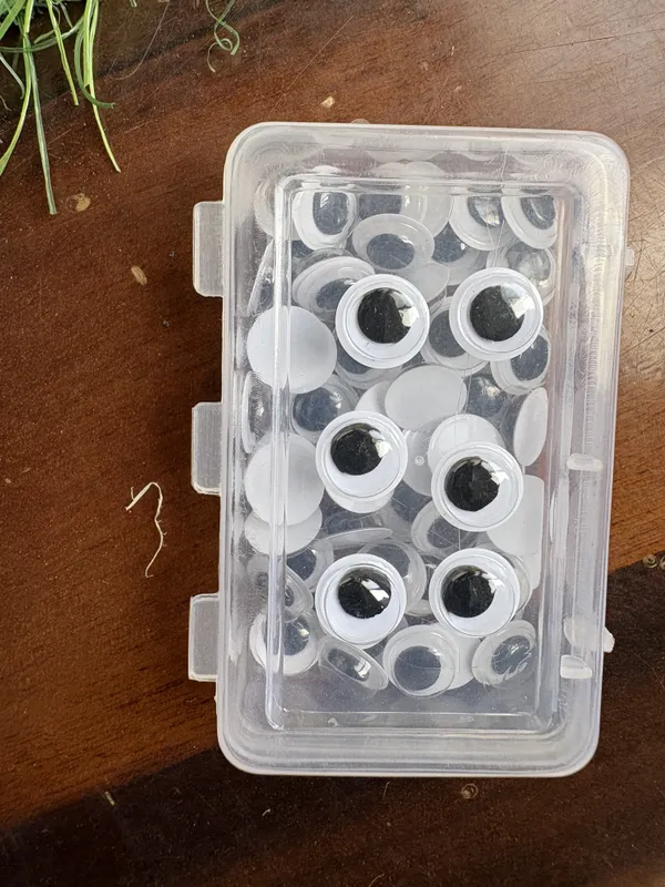 Googly_Eyes_-_50_Nos_Pack_Of_6