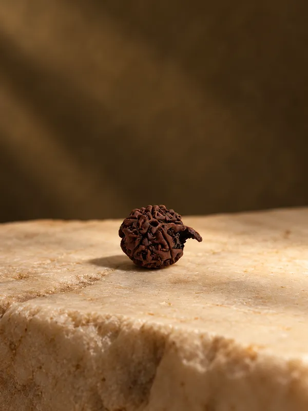 Natural_Ganesha_Nepali_Rudraksha
