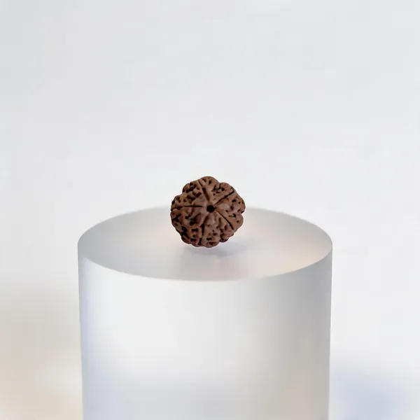 5_Mukhi