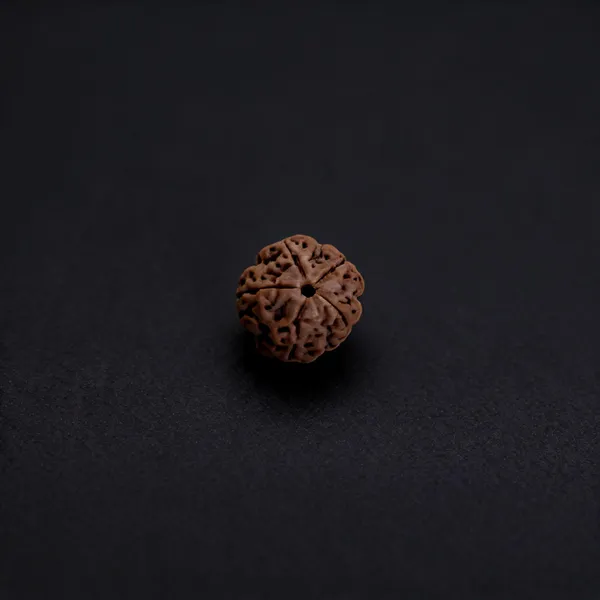 5_Mukhi