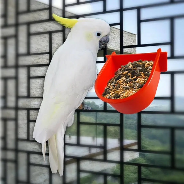 Bird_Cage_Plastic_Food_Feeder_Bowl_Water_Feeder_Cup_300ml_For_Love_Birds_Cockatiel_Finches_Pigeon_Other_Birds_Orange