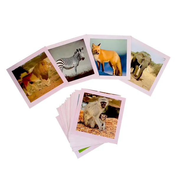 Tokyodo_Animals_Flash_Cards_For_Kids_Set_Of_36_Laminated_Animals_Cards_For_Preschool_Learning_Children_Easy_Fun_Learning_Cards