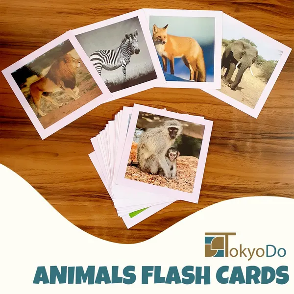 Tokyodo_Animals_Flash_Cards_For_Kids_Set_Of_36_Laminated_Animals_Cards_For_Preschool_Learning_Children_Easy_Fun_Learning_Cards