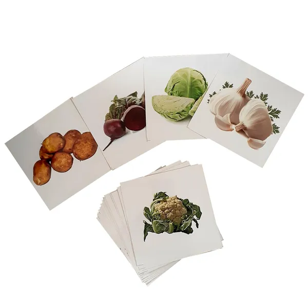 Tokyodovegetables_Flash_Cards_For_Kids_Set_Of_42_Laminated_Educational_Cards_For_Preschool_Learning_Children_Easy_Fun_Learning_Cards