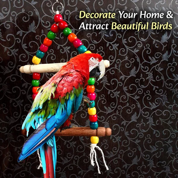Tokyodo_Bird_Swing_Toy_For_Parrots_And_Budgies_2_Step_Hanging_Swing_Colorful_Wooden_Beads_Bells_Hammock_Perch_Hanging_Cage_Accessory_For_Parakeets_Lovebirds_Cockatiels_Small_Birds_-_Pack_of_3