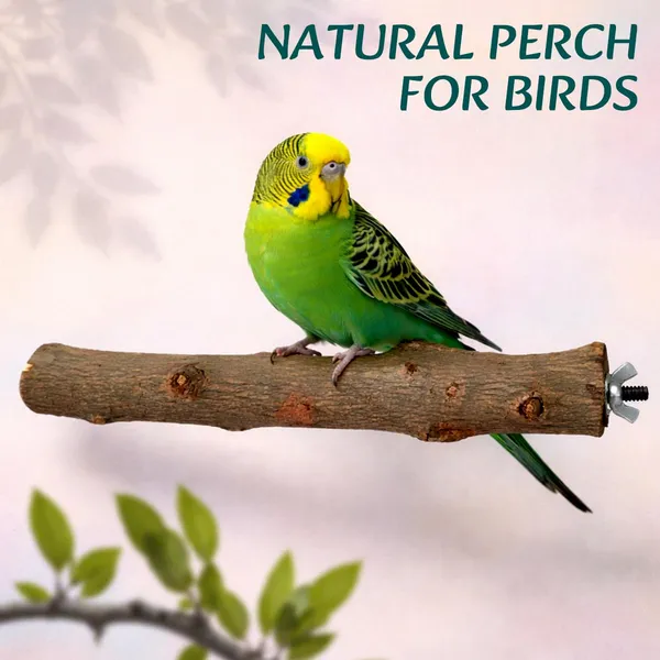 Tokyodo_Natural_Wood_Bird_Perch_Wooden_Multi_Branch_Platform_Hammock_Swing_Toy_For_Macaws_Parakeets_Conures_Budgies_Finches_Multicolor