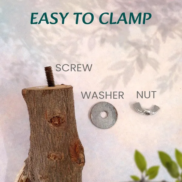 Tokyodo_Natural_Wood_Bird_Perch_Wooden_Multi_Branch_Platform_Hammock_Swing_Toy_For_Macaws_Parakeets_Conures_Budgies_Finches_Multicolor
