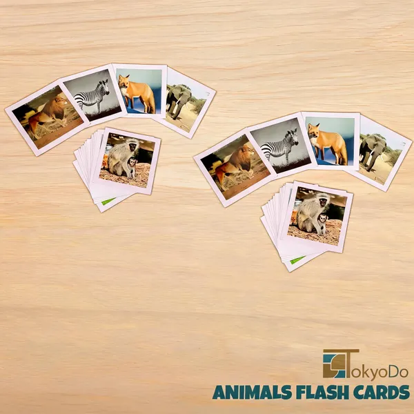 Tokyodo_Animals_Flash_Cards_For_Kids_Set_Of_36_Laminated_Animals_Cards_For_Preschool_Learning_Children_Easy_Fun_Learning_Cards