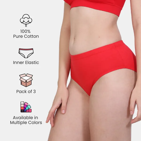 Mid-Rise_Briefs_|_Soft_Stretchable_Everyday_Panty_|_Breathable_&_Comfortable_Innerwear_Panties