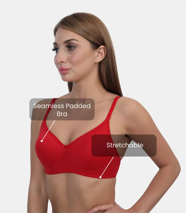 Pc_Interlock_Fabric_Full_Coverage_Padded_Non-Wired_Adjustable_&_Removable_Straps_Tshirt_Bra,_B_Cup