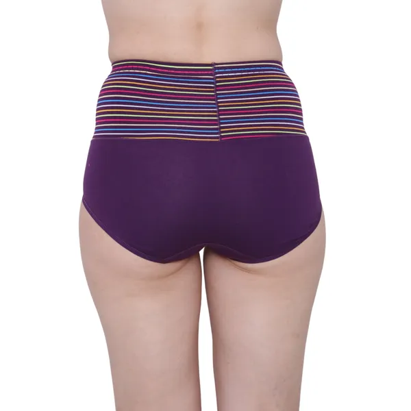 Title_High_Waist_Full_Coverage_Hipster_Panty