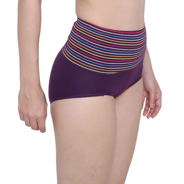 Title_High_Waist_Full_Coverage_Hipster_Panty