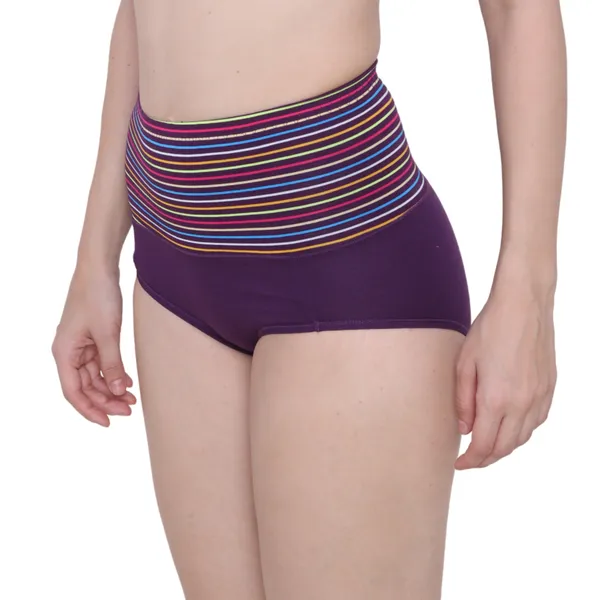 Title_High_Waist_Full_Coverage_Hipster_Panty