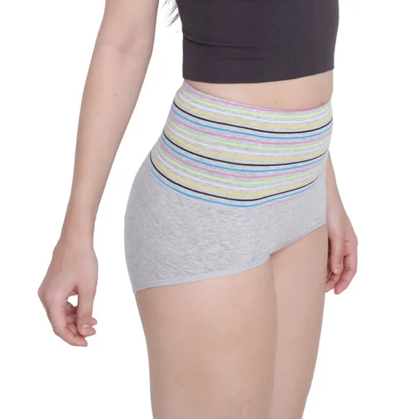 Title_High_Waist_Full_Coverage_Hipster_Panty