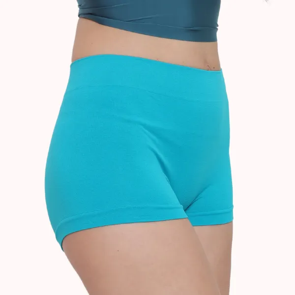 Seamless_No_Panty_Lines_No_Show_Boyshorts_Panty,_Pack_of_1