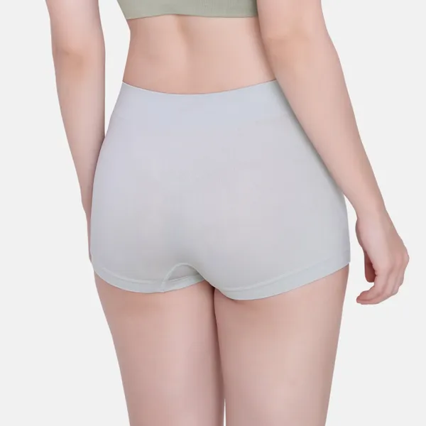 Seamless_No_Panty_Lines_No_Show_Boyshorts_Panty,_Pack_of_1