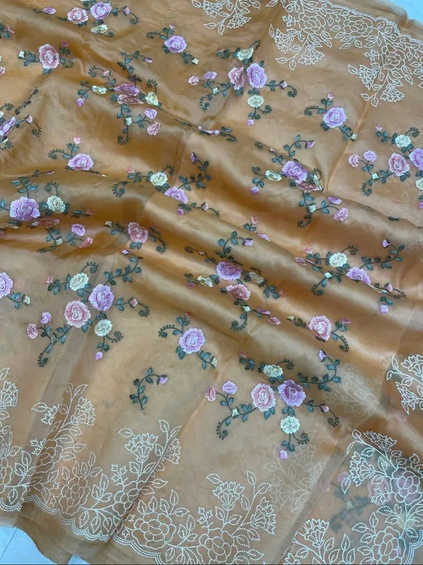 Beige_Embroidery_Organza_Saree_With_Blouse_Piece_For_Women