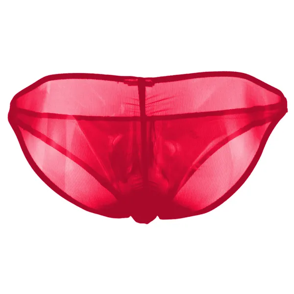 Red_Mesh_Brief_Panty_for_Women