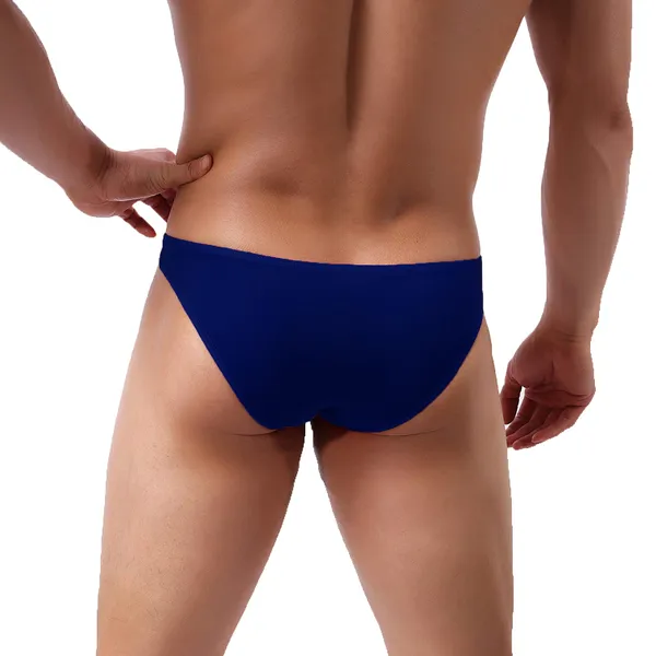 Blue_Brief_Underwear_for_Men