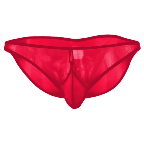 Red_Mesh_Brief_Panty_for_Women