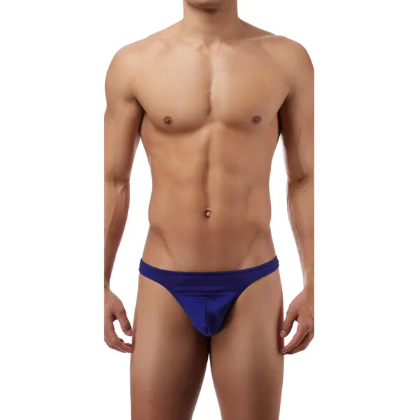 Blue_Brief_Underwear_for_Men