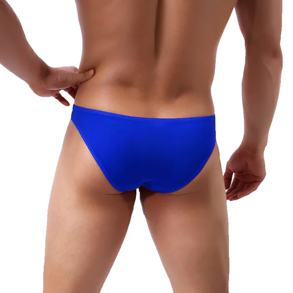 Blue_Brief_Underwear_for_Men