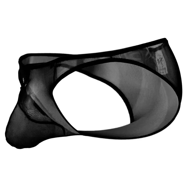Black_Sheer_Mesh_Brief_for_Men