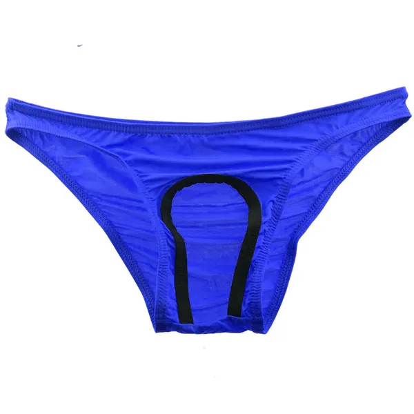 Blue_Brief_Underwear_for_Men