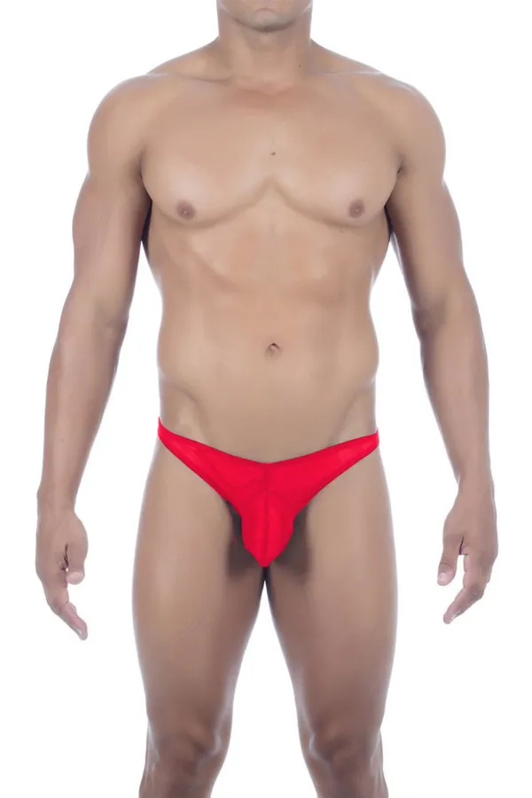Red_Mesh_Brief_Panty_for_Women
