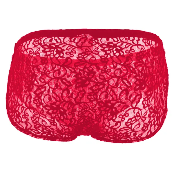 Red_Lace_Briefs_for_Men