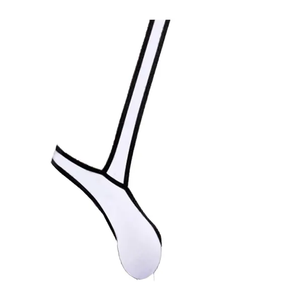 Long_Handle_Shoe_Horn