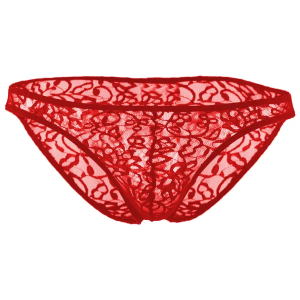 Red_Lace_Briefs_for_Women