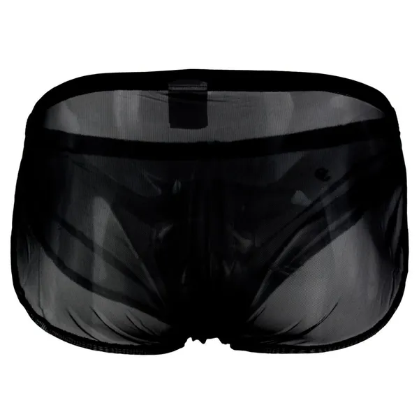 Black_Mesh_Briefs_for_Men